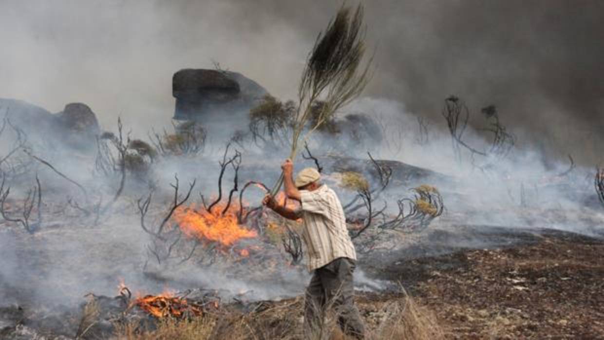 Un hombre trata de sofocar las llamas del incendio desatado la población de Almeidinha, en el distrito de Guarda