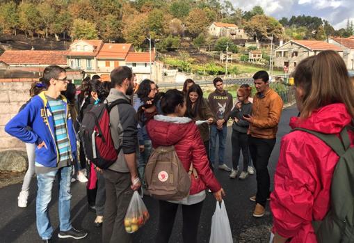 Un grupo de voluntarios se reune para peinar el monte