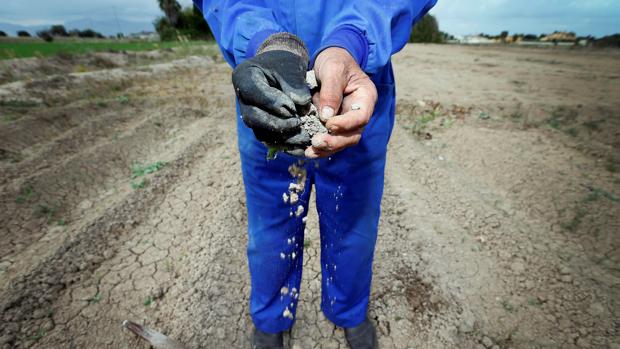 Prohibido regar y usar más de 200 litros de agua al día por persona