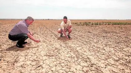 España se enfrenta a la peor sequía en casi 40 años si no llueve este invierno