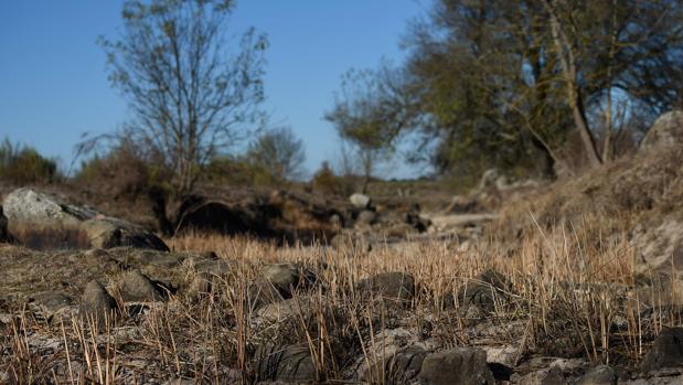 Portugal plantea cortes de agua nocturnos por la grave sequía