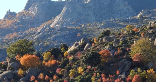 Sierra de Guadarrama (Madrid)