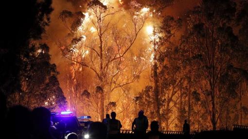 Los incendios en Galicia arrasaron más de 35.000 hectáreas