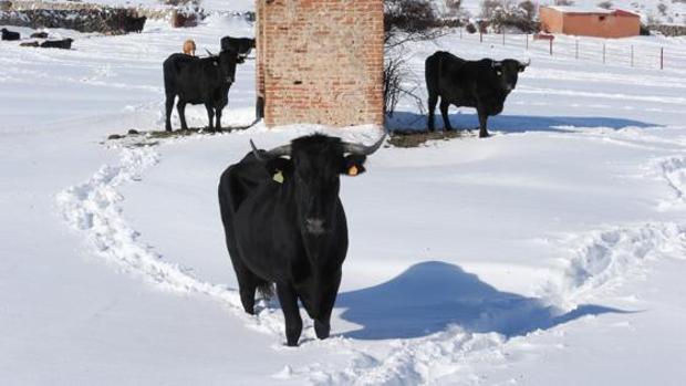 España recupera la normalidad mientras se prepara para un nuevo temporal