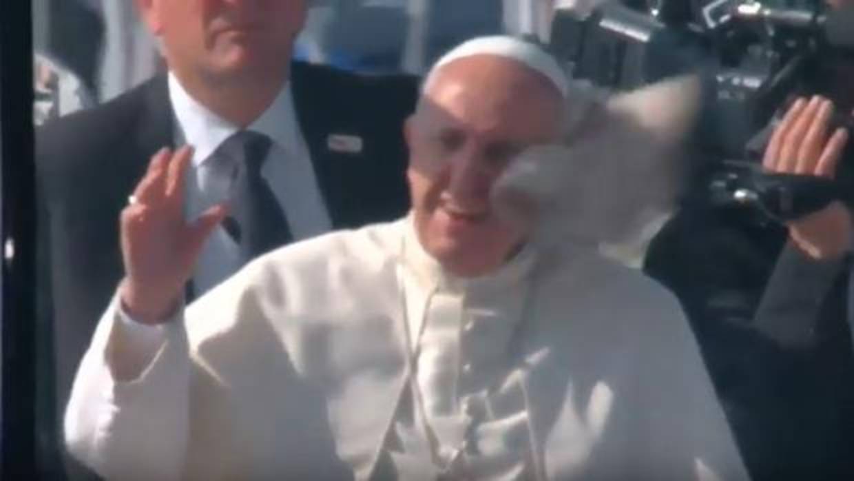 Lanzan un objeto extraño al Papa Francisco cuando saludaba a los fieles en Chile