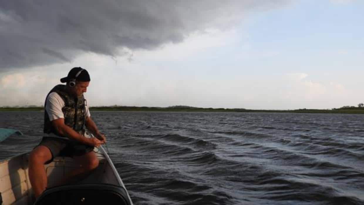 En el Amazonas grabando delfines de agua dulce