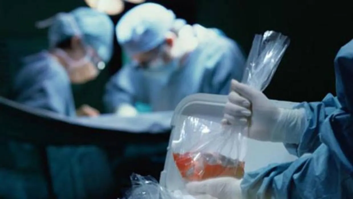 España se prepara para realizar el primer trasplante renal cruzado internacional
