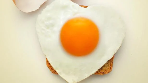 Puedes comer un huevo al día sin miedo al colesterol