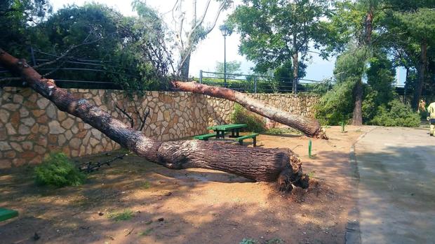 Una fuerte tormenta provoca «graves daños» en más de 150 hectáreas en la localidad de Longares