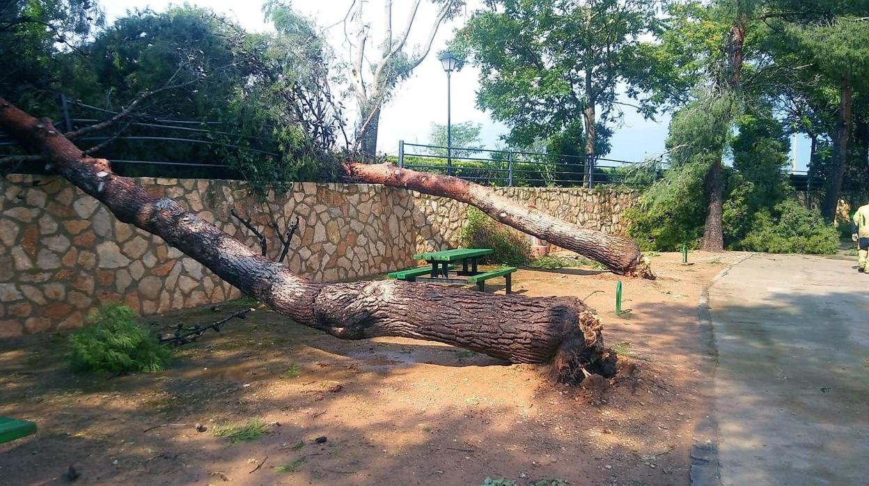 Una fuerte tormenta provoca «graves daños» en más de 150 hectáreas en la localidad de Longares