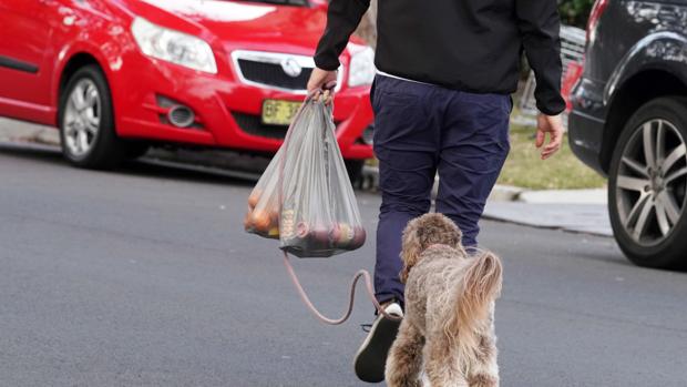 Adiós a las bolsas de plástico gratis