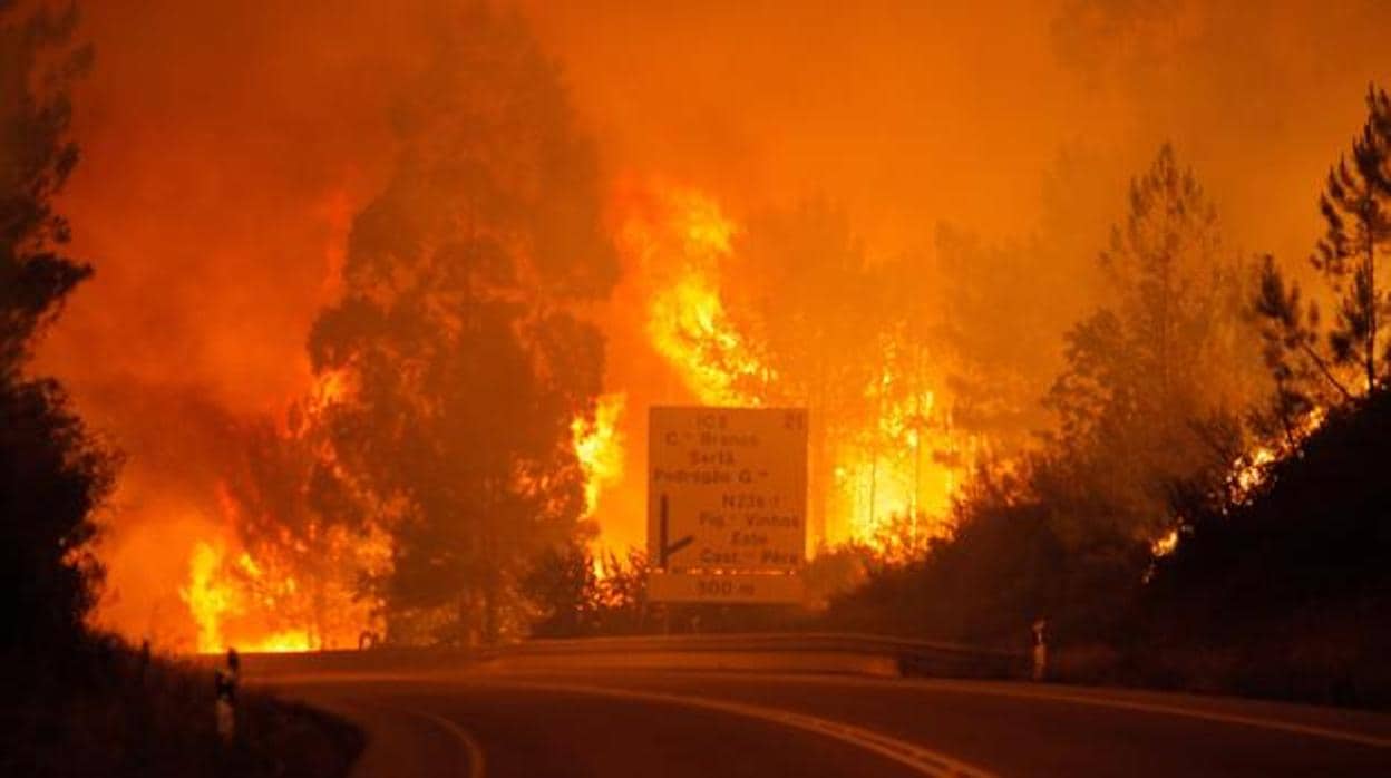 El fuego azotó Portugal el año pasado