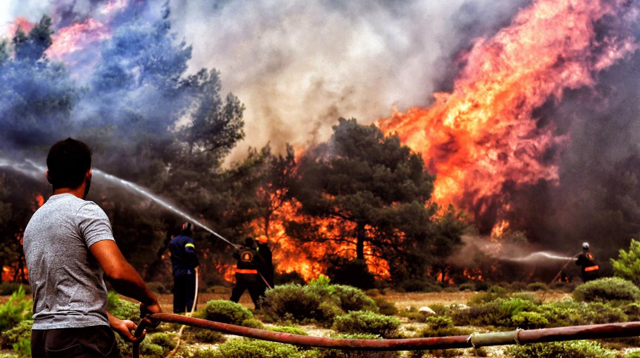 Varios bomberos y voluntarios luchan contra las llamas en un incendio en Verori(Grecia)