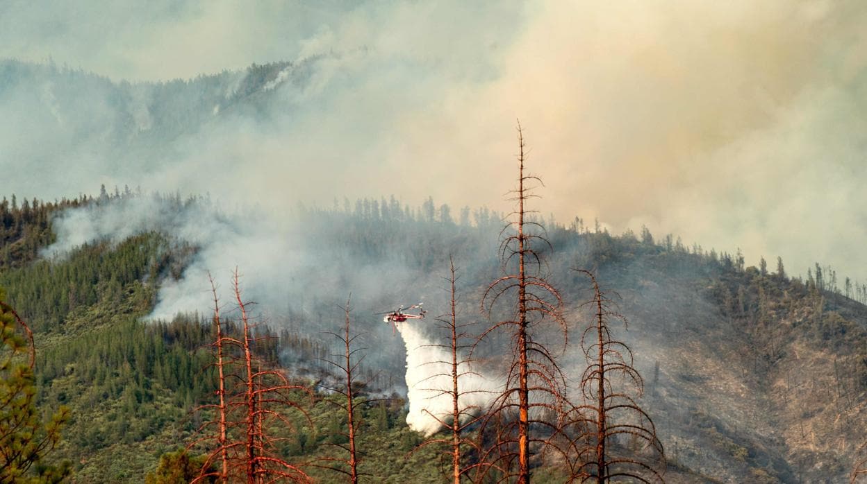 Labores de extinción del fuego en las inmediaciones de Yosemite