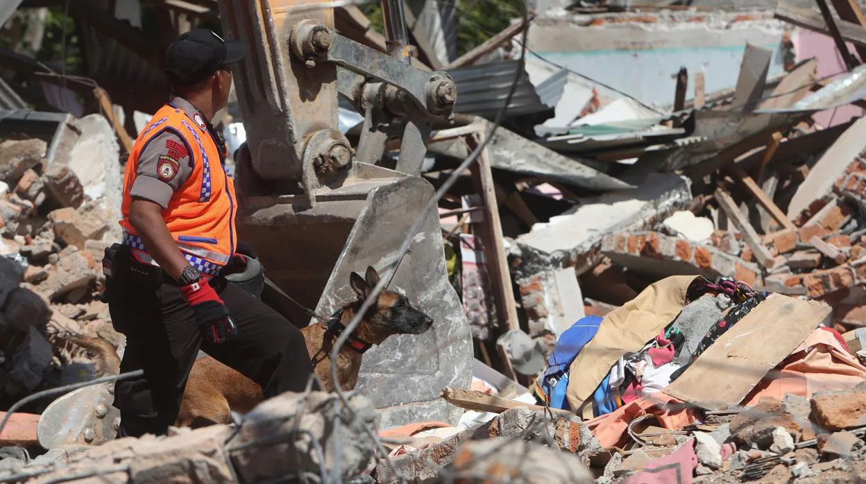 Miembros de los servicios de rescate buscan víctimas entre los escombros de una vivienda tras el terremoto