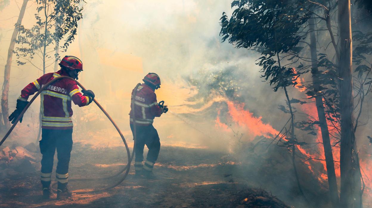 Varios bomberos luchan contra las llamas en un incendio forestal declarado en Bele, cerca de Monchique