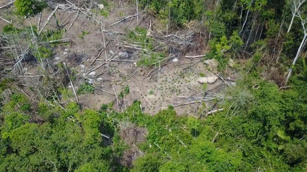 Un dron capta las imágenes de una tribu indígena aislada de Brasil