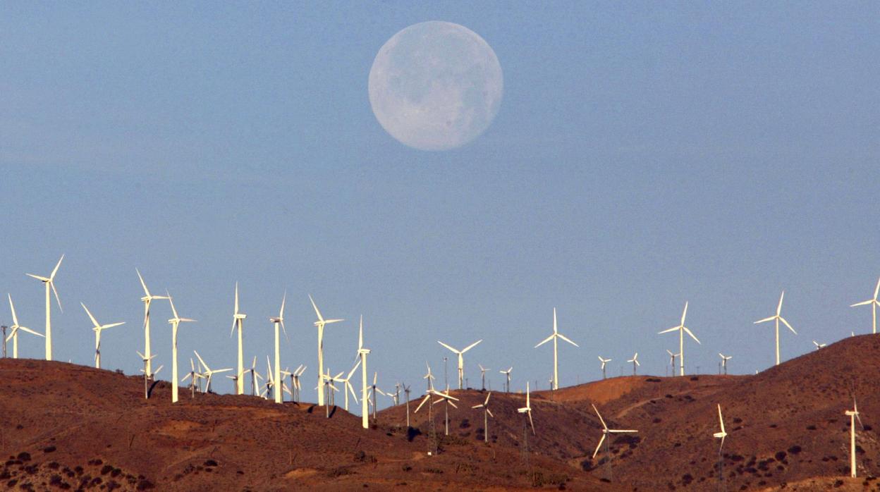 Campo eólico en el desierto del California