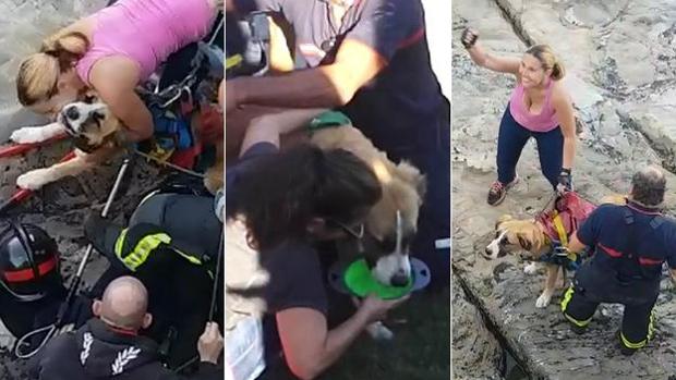 Rescatan a un perro que llevaba 13 días atrapado en la grieta de un acantilado en Asturias