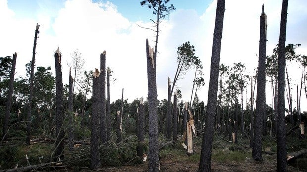 Así ha quedado Figueira da Foz, el lugar donde Leslie descargó toda su furia