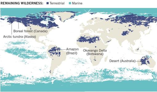 En azul oscuro, los ecosistemas terrestres que siguen intactos. En azul claro, los marinos