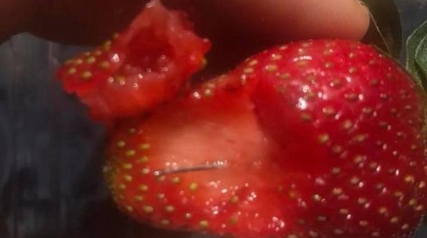 Presentan cargos contra una mujer de 50 años por contaminar fresas con agujas en Australia