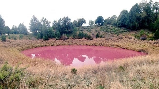 La desconcertante laguna rosa que ha surgido en Cuenca