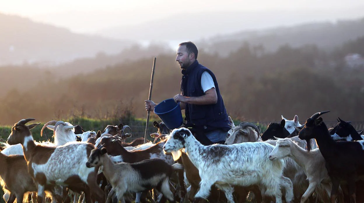 Los últimos pastores del campo español