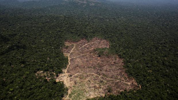 La deforestación en el Amazonas alcanza su nivel más alto en diez años