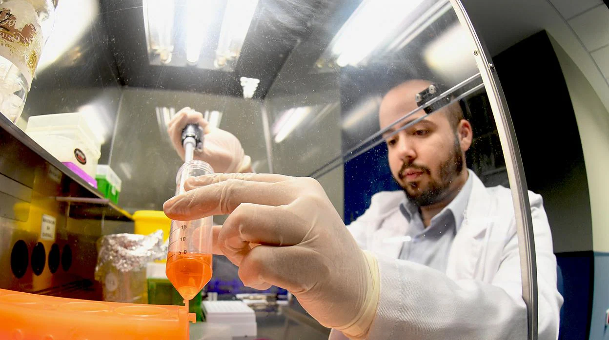 Francisco Moniche trabaja en la recuperación del cerebro tras un ictus con células madre