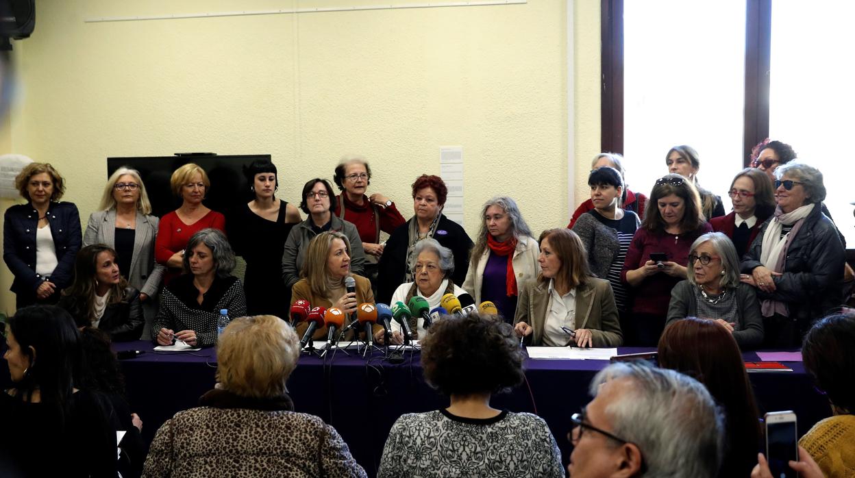 Yolanda Besteiro y Ana María Pérez del Campo, entre otras, han sido las presidentas de organizaciones feministas que han tomado la palabra durante la rueda de prensa este miércoles