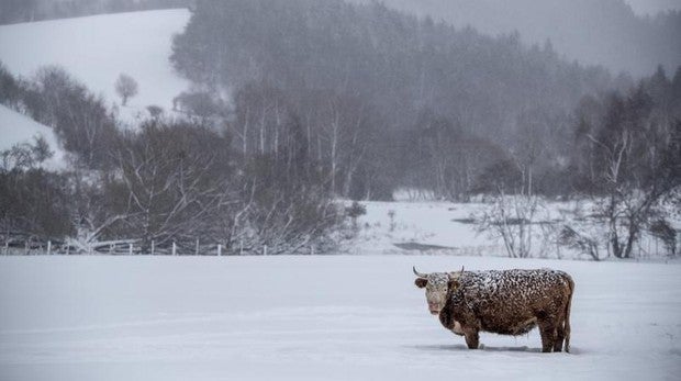 La nieve bloquea Centroeuropa