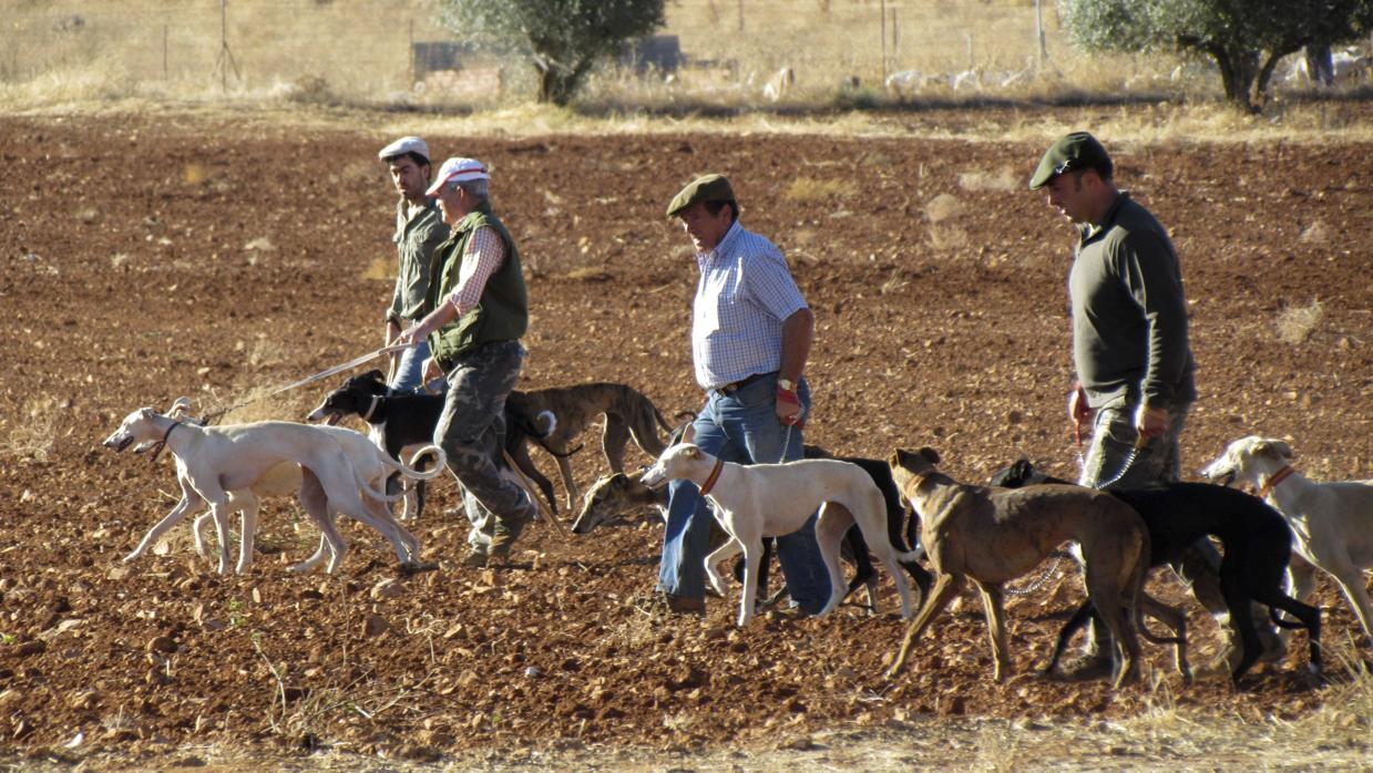 La caza es necesaria