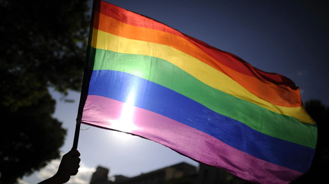 Imagen de la bandera LGBT