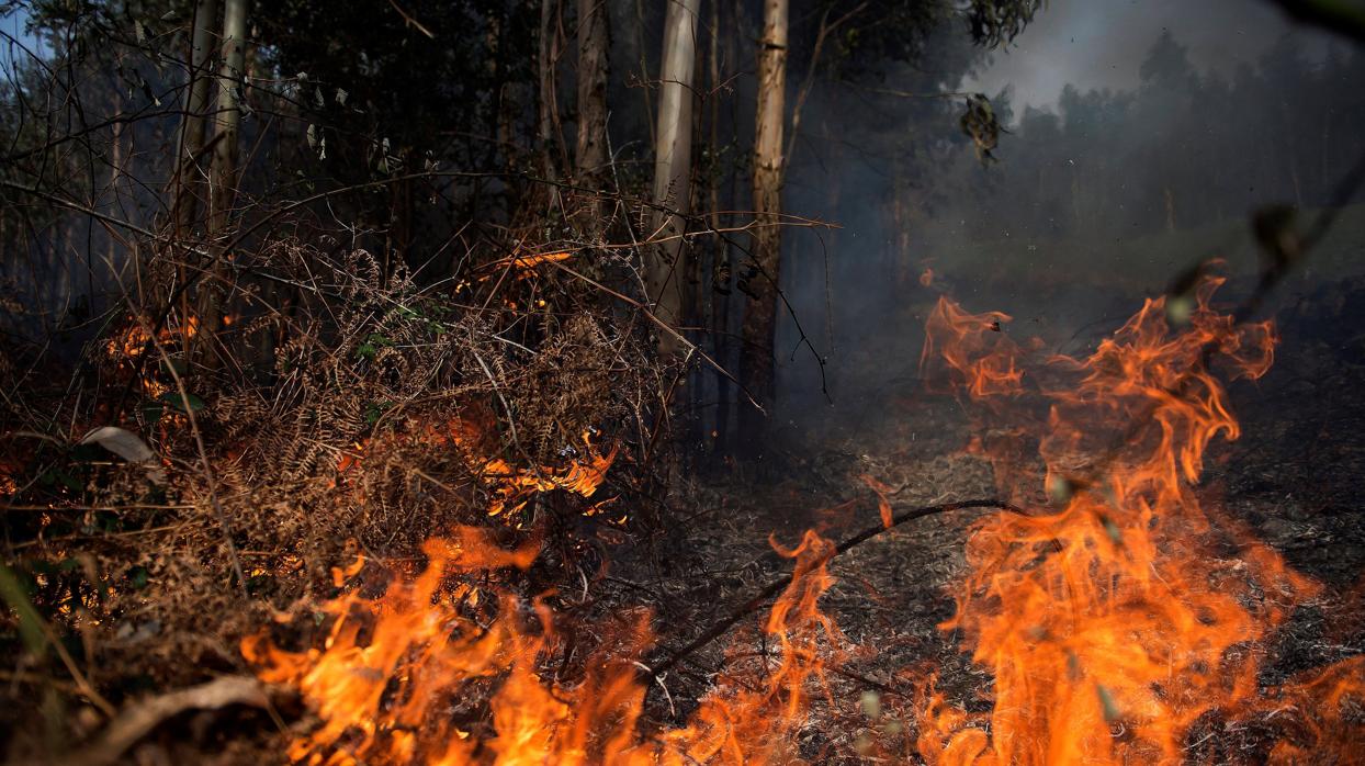 Llamas de un incendio en los montes próximos a la localidad cántabra de Ramales de la Victoria, cuya comunidad ha sufrido un centenar de incendios de los cuales más de 30 se mantienen aún activos