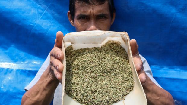 Cuidado con el kratom, la nueva «cura» contra la ansiedad y el dolor