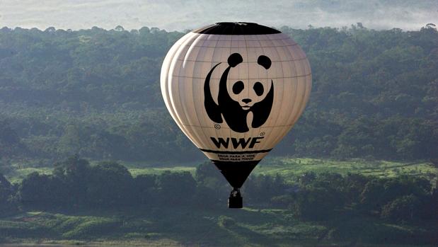 Acusan a WWF de financiar grupos paramilitares que han torturado y matado a personas