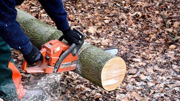 Una eslovena se amputa una mano intencionadamente para cobrar 400.000 euros del seguro