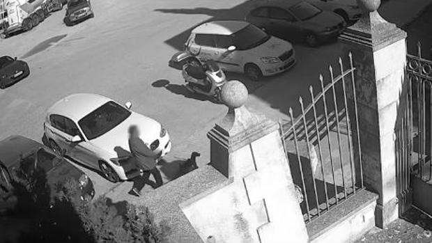 Graban a un hombre que abandona a su perra y huye a toda velocidad con su coche en Palma de Mallorca
