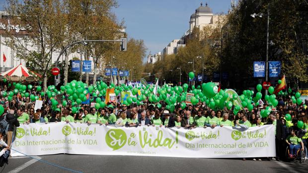 Miles de personas se manifiestan en Madrid para pedir una legislación que «defienda la vida sin fisuras»