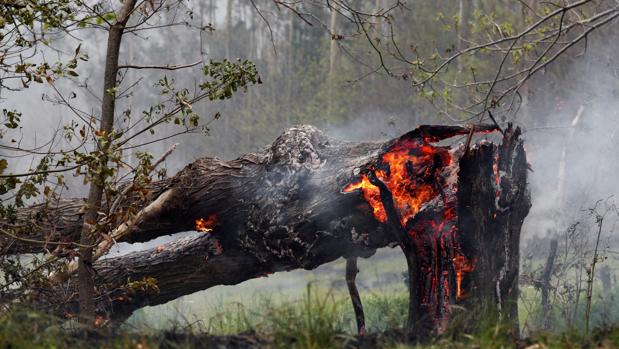 El incendio en la Sierra de Sollera (Asturias), estabilizado