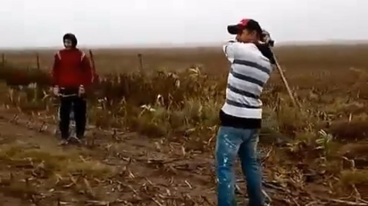 Denuncian a varias personas que se grabaron jugando al béisbol con un perro en Argentina