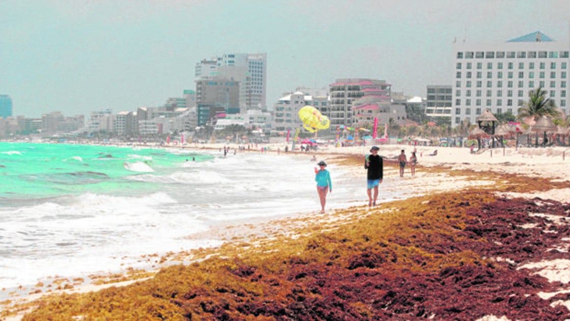 Vista general del sargazo en una playa de Cancún (México)