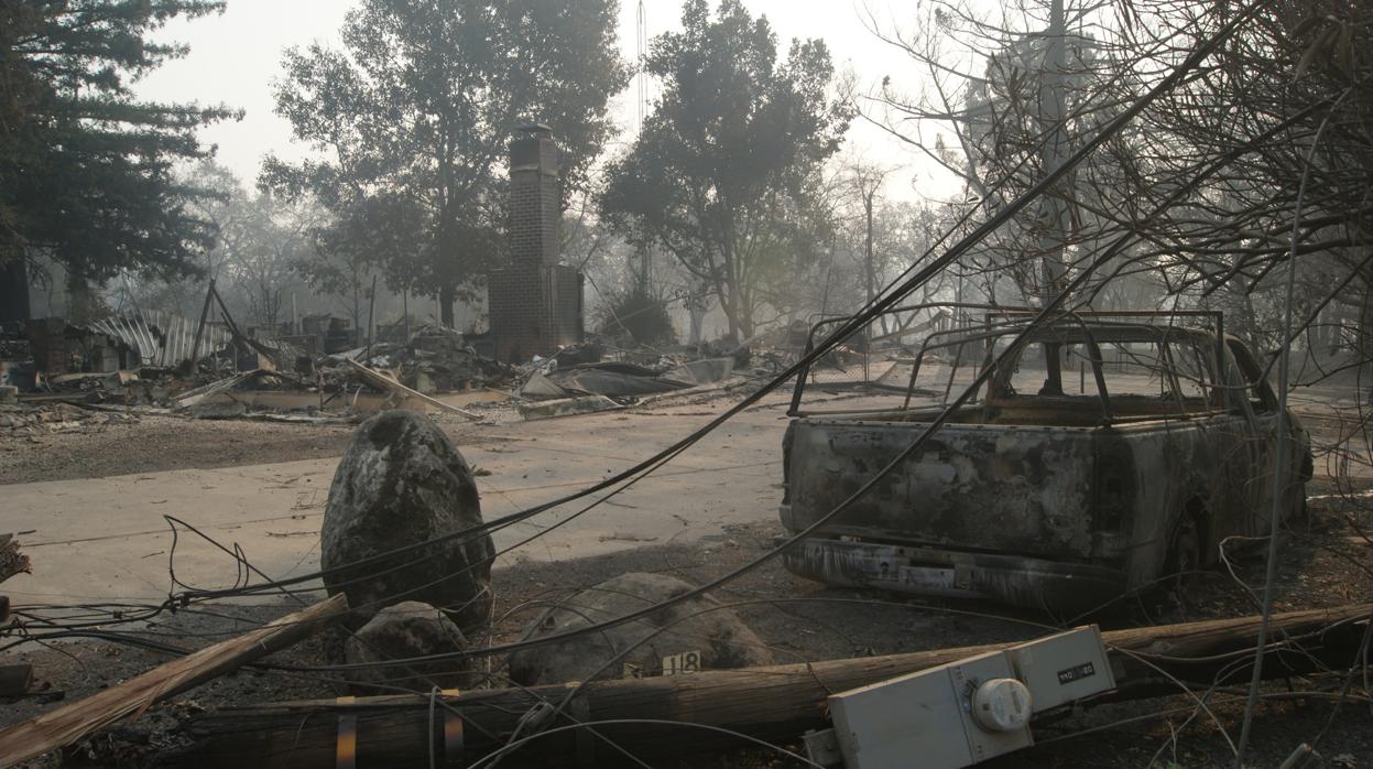 Imagen del paisaje tras el incendio