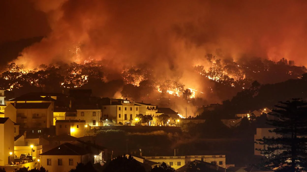 Un bosque en llamas en los incendios de Portugal