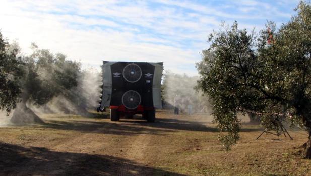 La UE estudia no renovar la autorización del insecticida clorpirifós