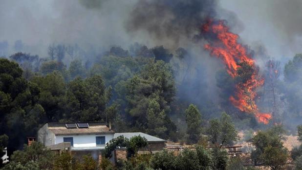 Los expertos atribuyen el incendio de Tarragona a la mala gestión del estiércol