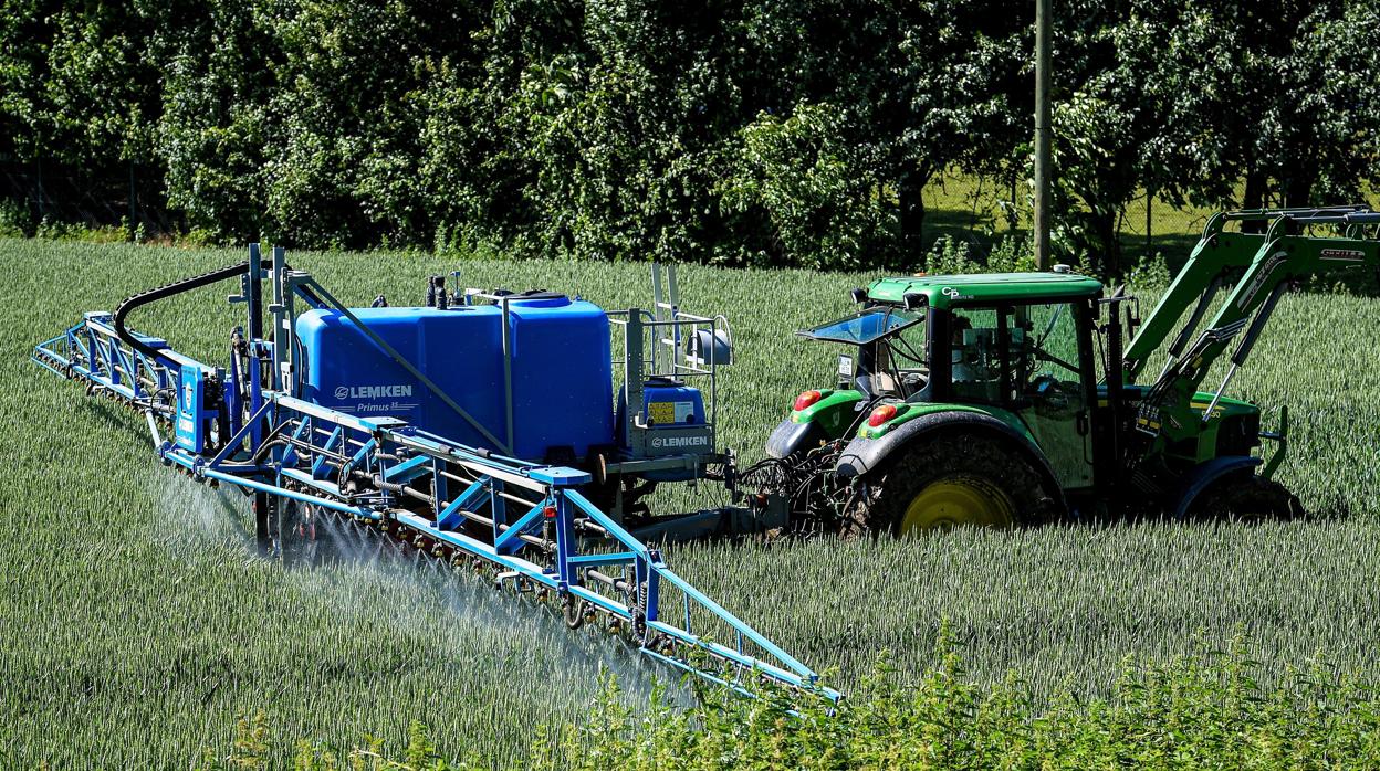 Un tractor fumiga con glifosato, el herbicida más usado del mundo