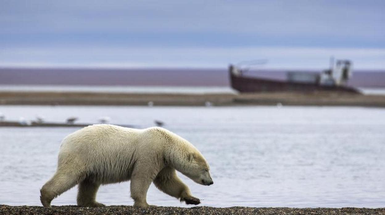 Alaska bate su récord de temperatura con 32ºC