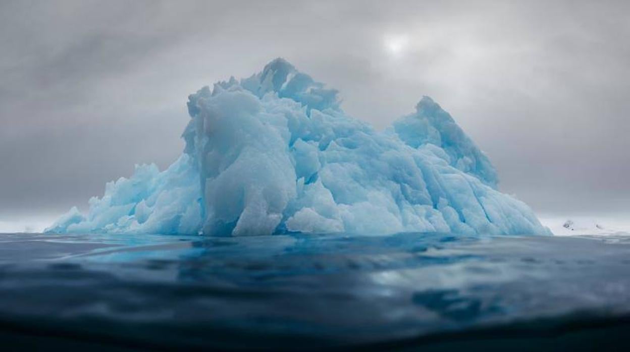 Imagen de un iceberg en la isla Livingston, Antártida